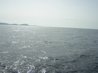 Tenerife 2005 2 74